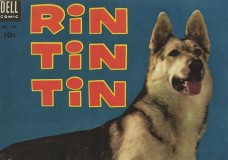 El retorno de Rin Tin Tin